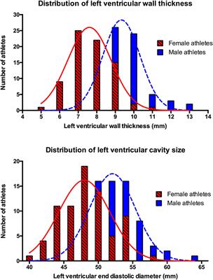 Electrocardiographic and Echocardiographic Insights From a Prospective Registry of Asian Elite Athletes